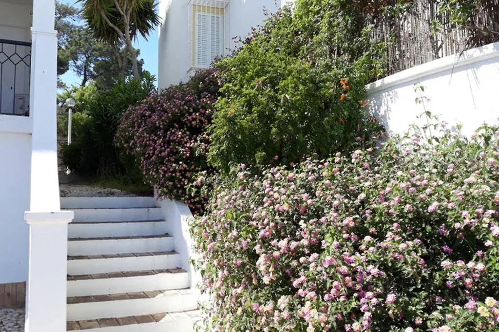 Casa Do Limoeiro Διαμέρισμα Λάγος